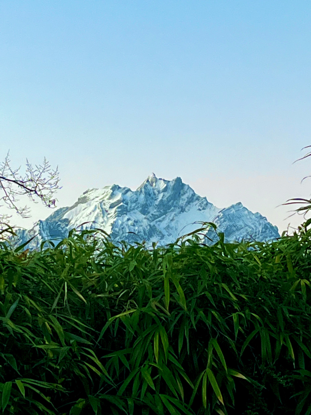 LUZERNPHOTOGEN