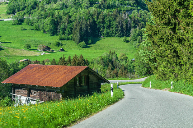 Romandie Safari