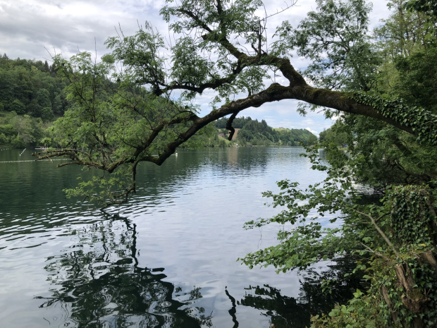 LUZERNPHOTOGEN