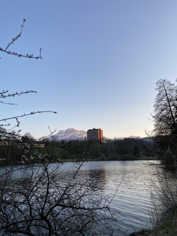 LUZERNPHOTOGEN