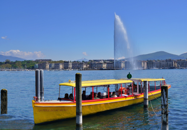 Genève Safari Photo