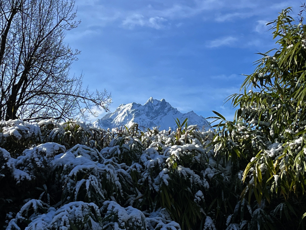 LUZERNPHOTOGEN