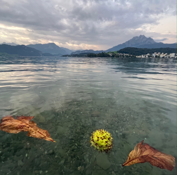 LUZERNPHOTOGEN