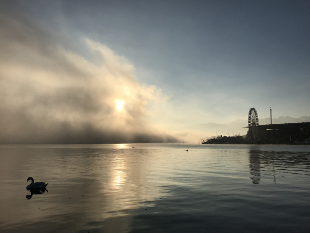 LUZERNPHOTOGEN