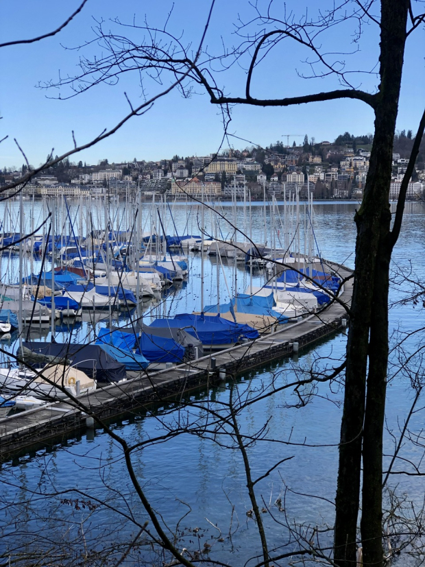 LUZERNPHOTOGEN