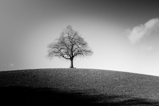 Ron kuratiert deine Ausstellung in der Photobastei