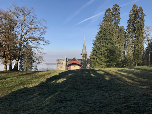 LUZERNPHOTOGEN