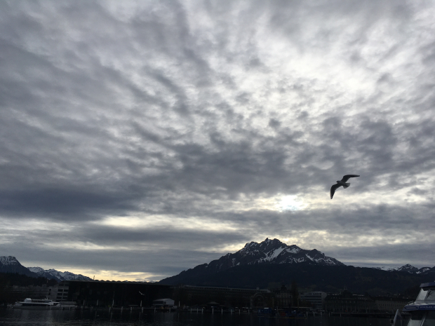 LUZERNPHOTOGEN