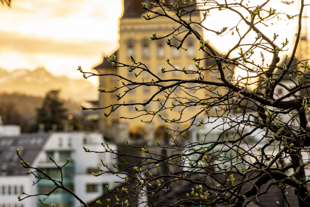 LUZERNPHOTOGEN