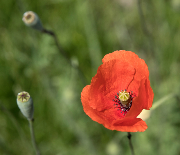 ST.GALLENPHOTOTRIP