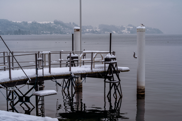 LUZERNPHOTOGEN