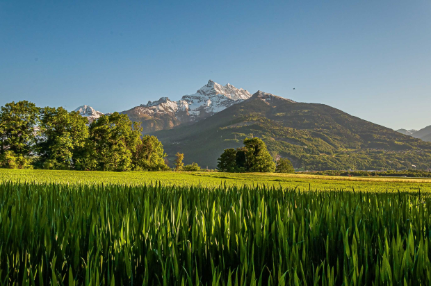 Romandie Safari