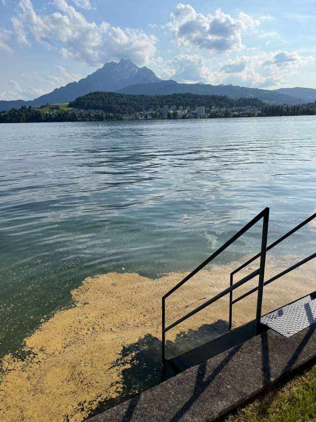 LUZERNPHOTOGEN