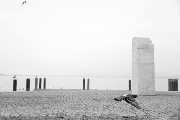 Ron kuratiert deine Ausstellung in der Photobastei