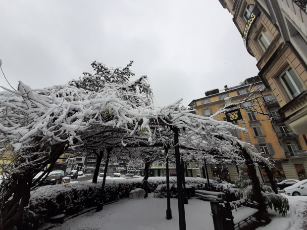 LUZERNPHOTOGEN