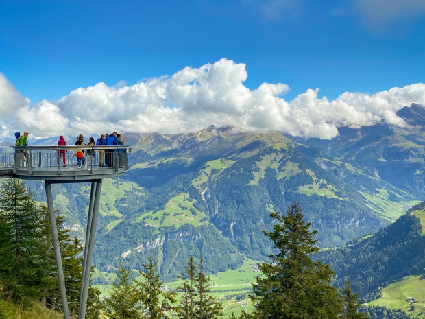 Romandie Safari