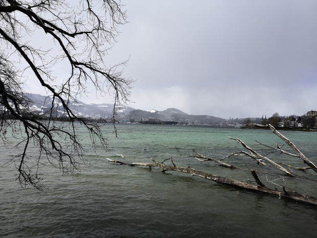 LUZERNPHOTOGEN