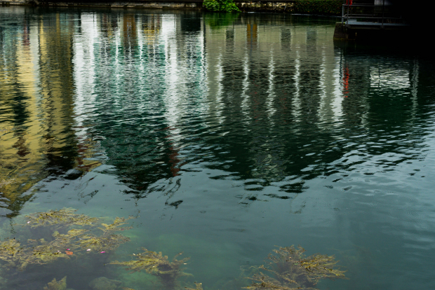 LUZERNPHOTOGEN