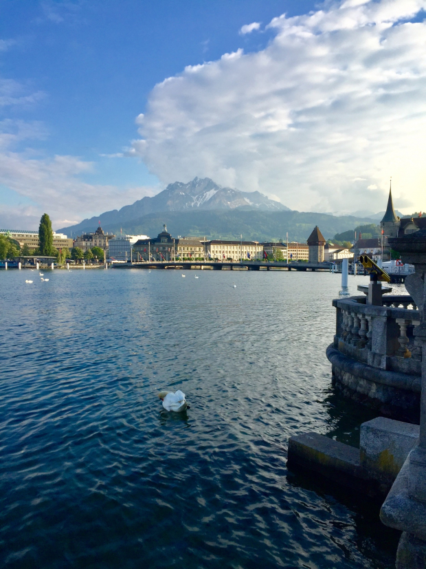 LUZERNPHOTOGEN