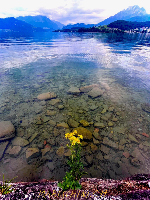 LUZERNPHOTOGEN