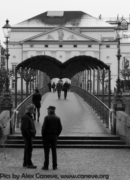 LUZERNPHOTOGEN