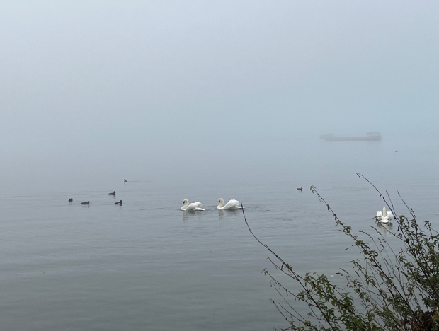 LUZERNPHOTOGEN