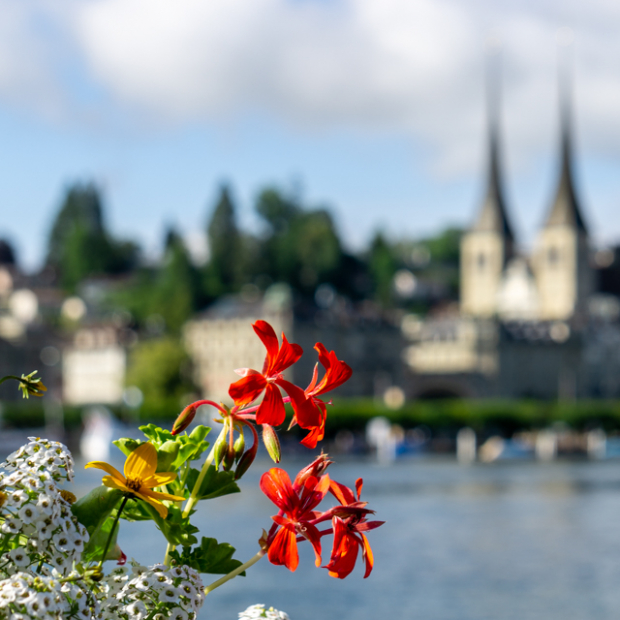 LUZERNPHOTOGEN