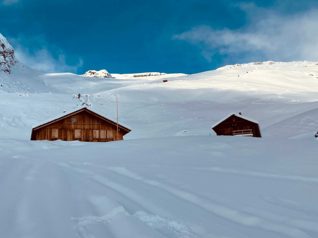 Romandie Safari