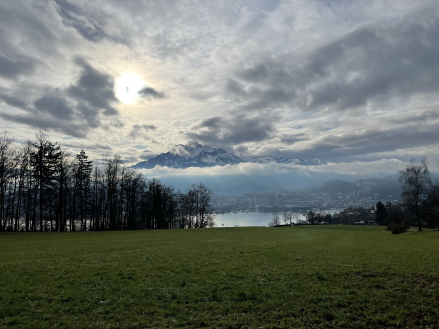 LUZERNPHOTOGEN