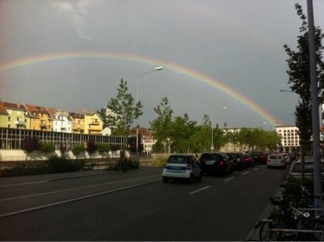 Regenbogen