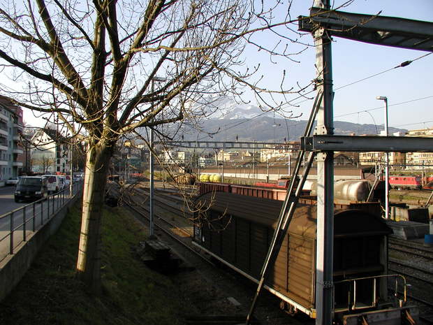 LUZERNPHOTOGEN