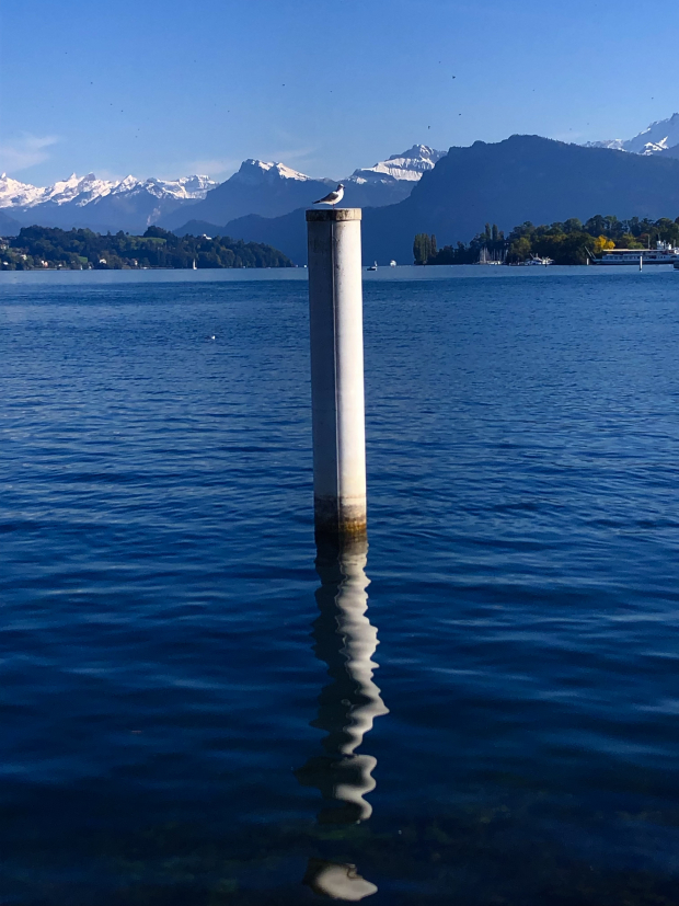 LUZERNPHOTOGEN