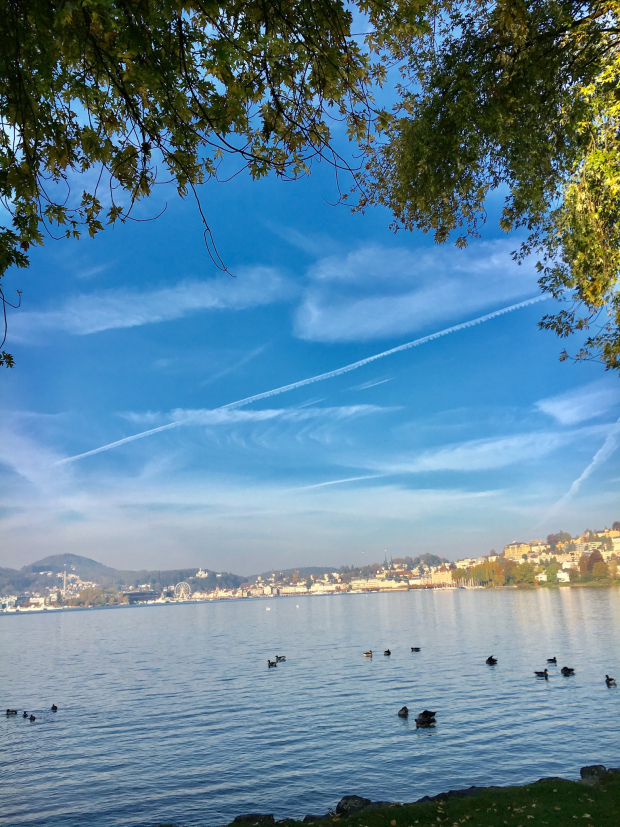 LUZERNPHOTOGEN