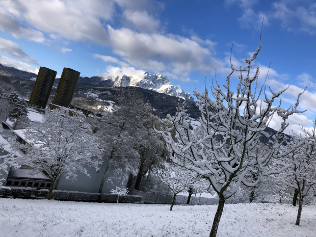 LUZERNPHOTOGEN