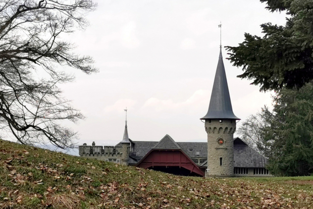 LUZERNPHOTOGEN