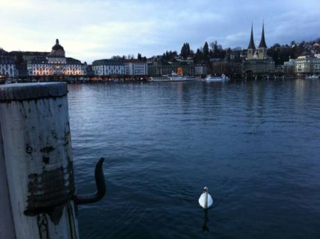 LUZERNPHOTOGEN