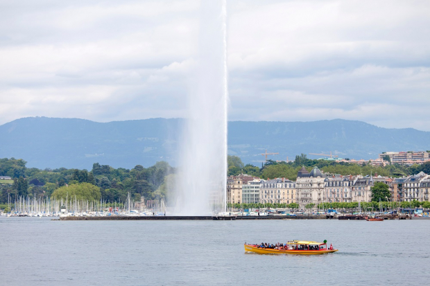 Genève Safari Photo