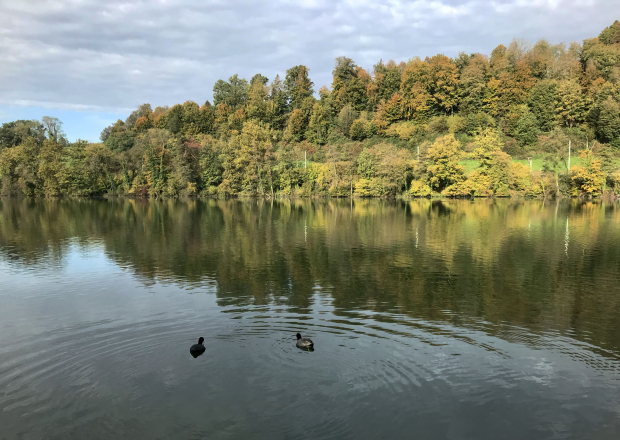 LUZERNPHOTOGEN