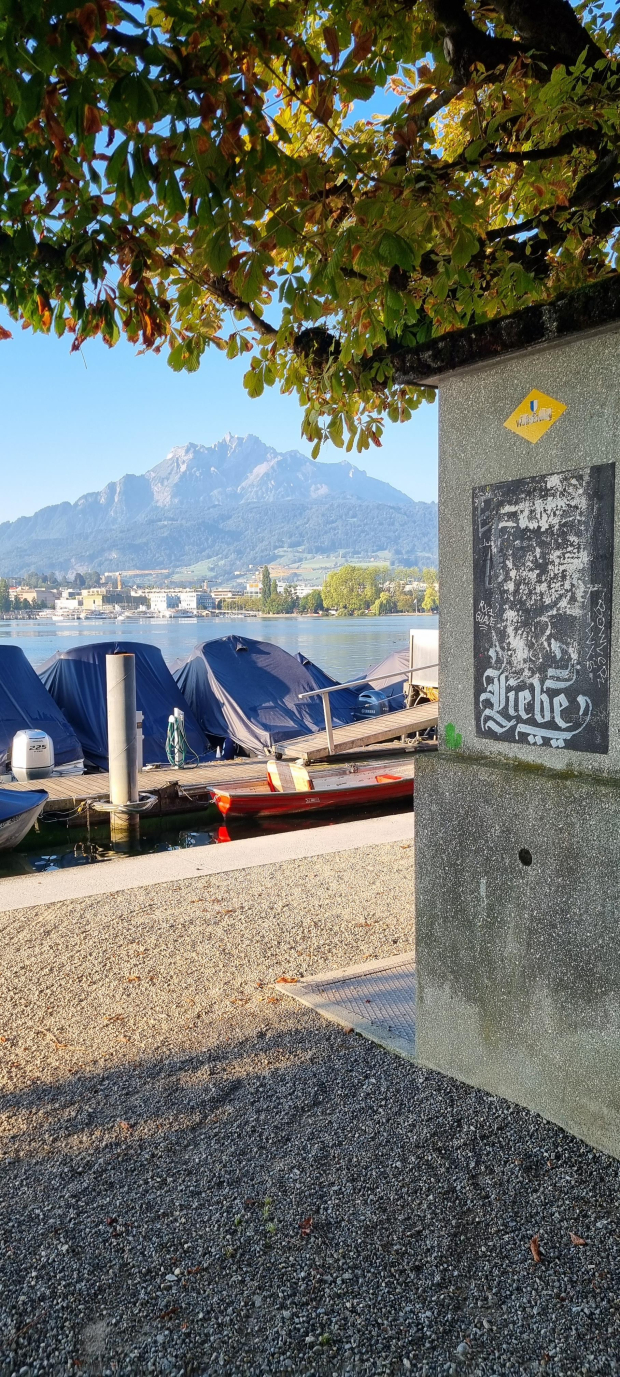 LUZERNPHOTOGEN