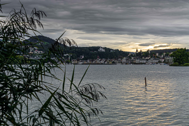 LUZERNPHOTOGEN