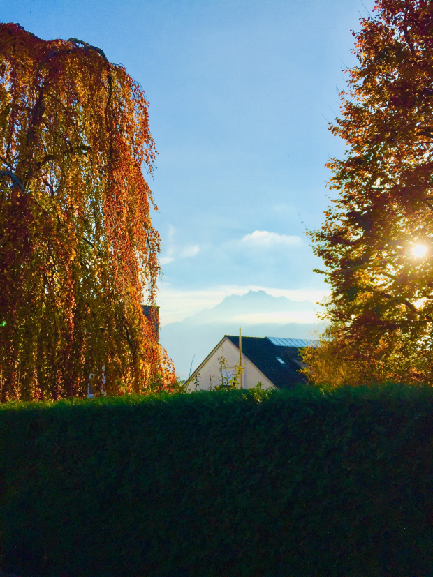 LUZERNPHOTOGEN