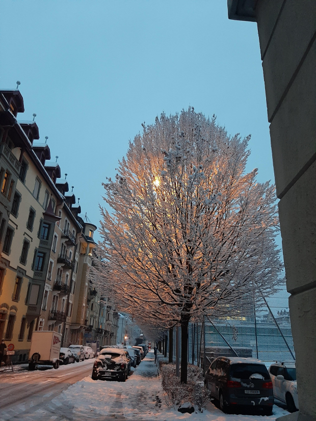 LUZERNPHOTOGEN