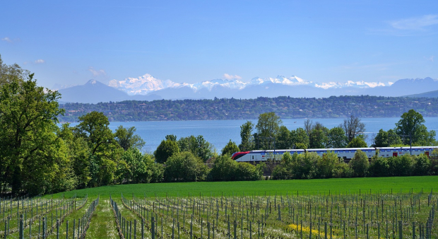 Genève Safari Photo