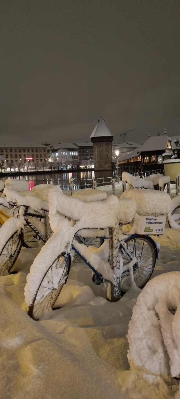 LUZERNPHOTOGEN