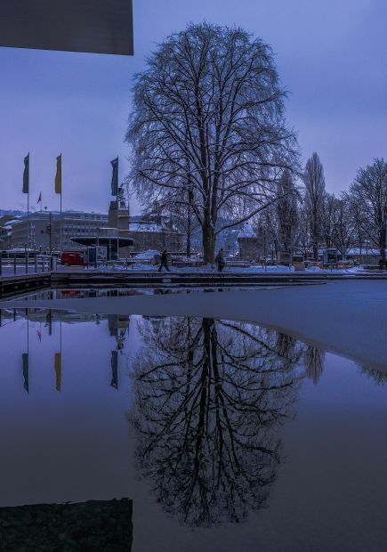 LUZERNPHOTOGEN