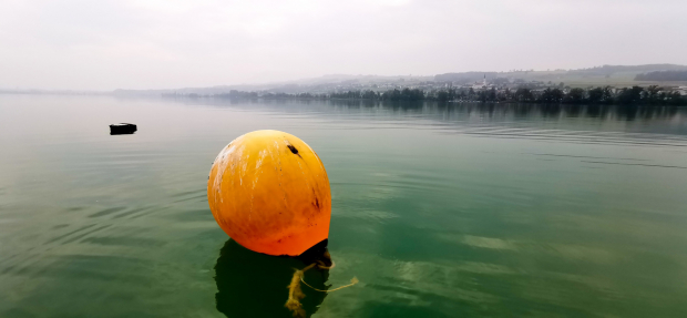 LUZERNPHOTOGEN