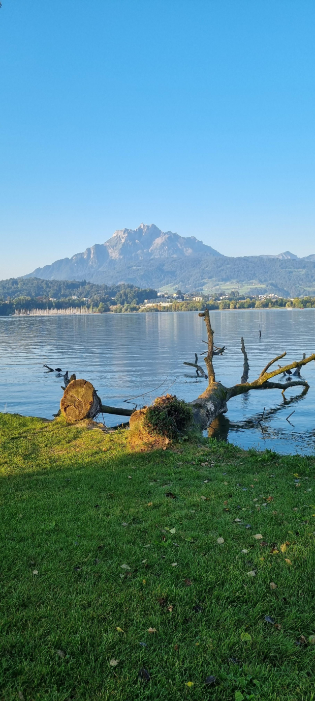 LUZERNPHOTOGEN