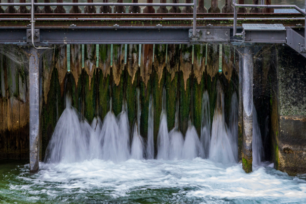 LUZERNPHOTOGEN