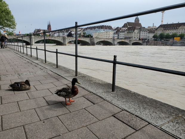 Basel Fototrip