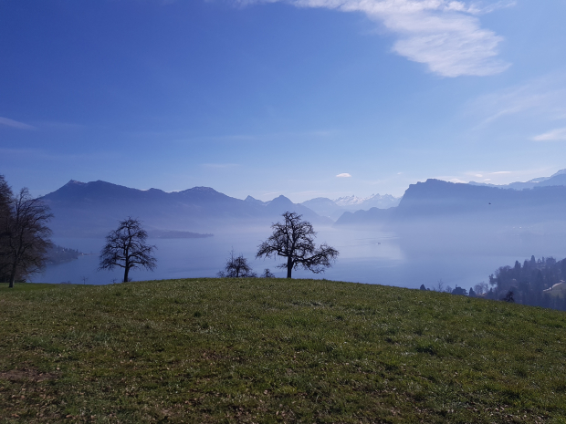 LUZERNPHOTOGEN